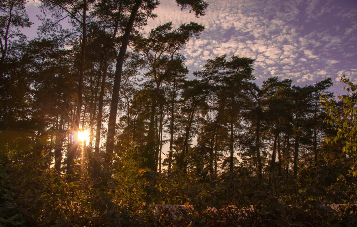 32-uurs vergaderarrangement op de Veluwe